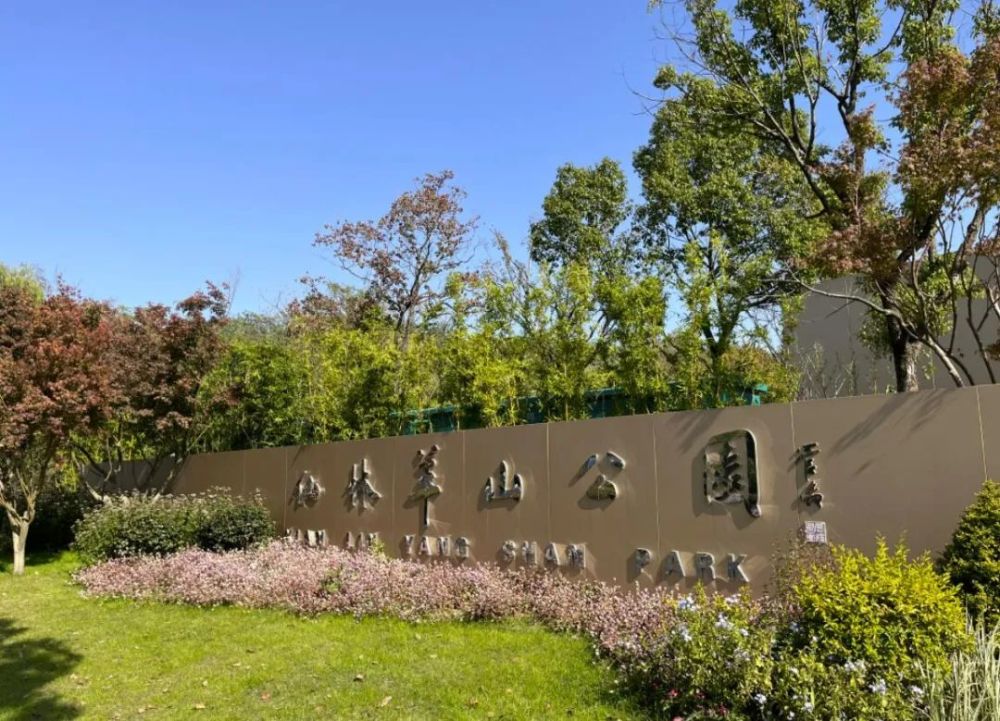 仙林羊山公园再"上新","口袋球场"暖民心