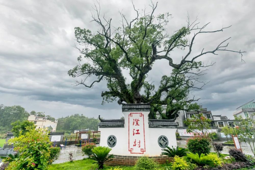 于都12处醉美客家村落之澄江村