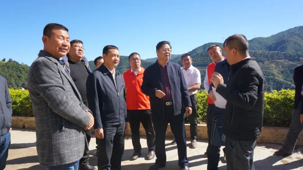 县委书记陈勇宏,县委副书记,县长文晓波,县乡村振兴