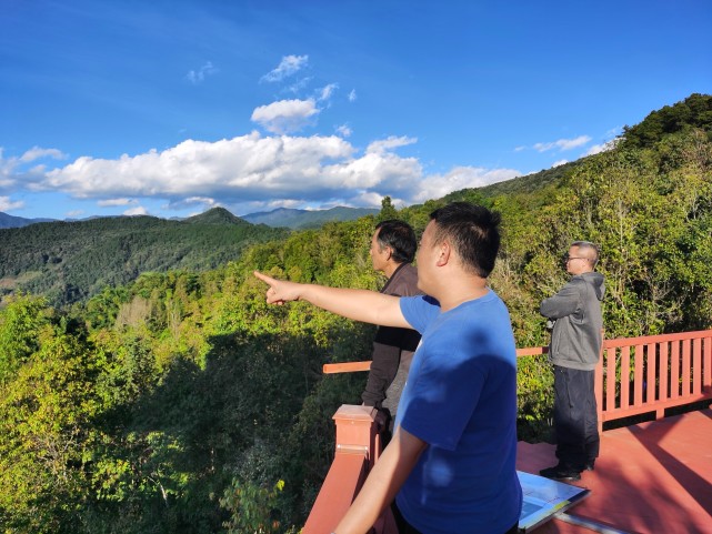 九甲镇扎实推进"干部规划家乡行动"赋能乡村振兴