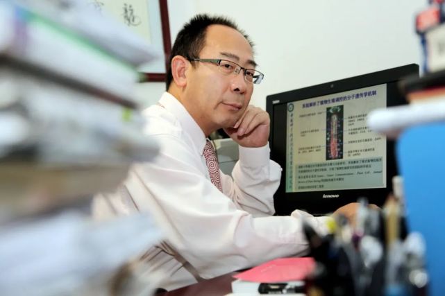 新晋中国科学院院士杨维才:平常心态做人,世界水准行研