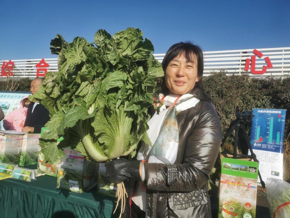 擦亮胶白品牌拓宽销售渠道推动国际布局胶州大白菜国际美食文化节开幕