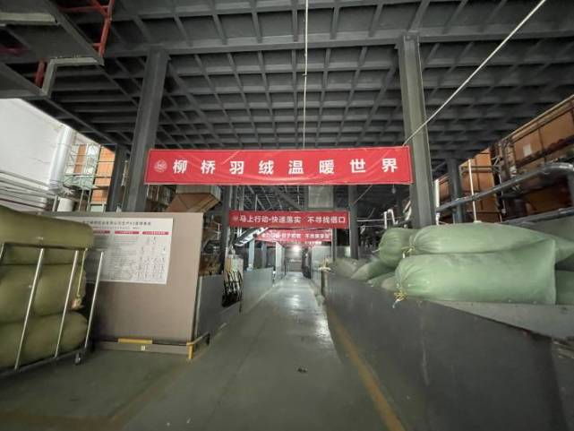 羽绒原料市场动态与趋势洞察