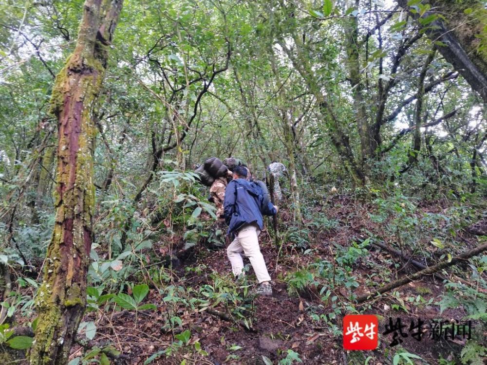 悲痛雲南哀牢山4名失聯地質調查員確認遇難紫牛連線當地老調查員講述