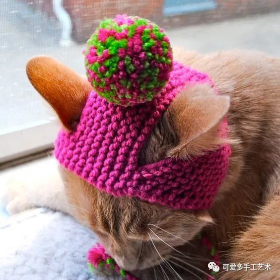 就给家里的小宠物钩几顶吧,剩余下来的毛线,大人小孩的帽子已经钩了