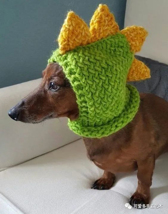 就给家里的小宠物钩几顶吧,剩余下来的毛线,大人小孩的帽子已经钩了