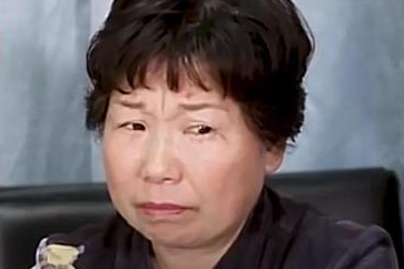 杜新枝承认造假证但仍不悔改作为一个母亲为了孩子我没错