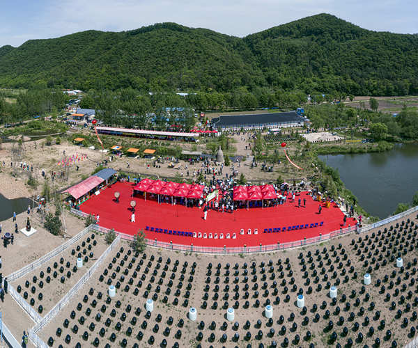 一颗匠心缔造酱香之美延边悟德酱酒有限公司董事长李东春与他的酱露酒