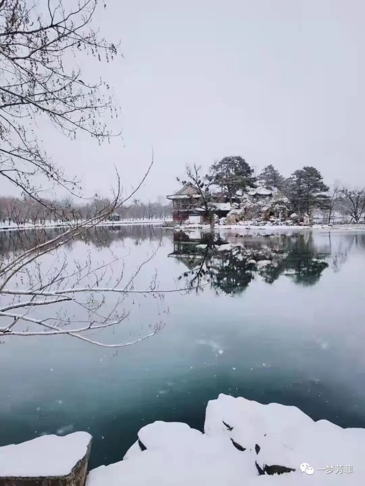 大象深冬薄念,漫步黃河灘,重逢那一望無垠的溼地,孤獨的心兒,伴隨著