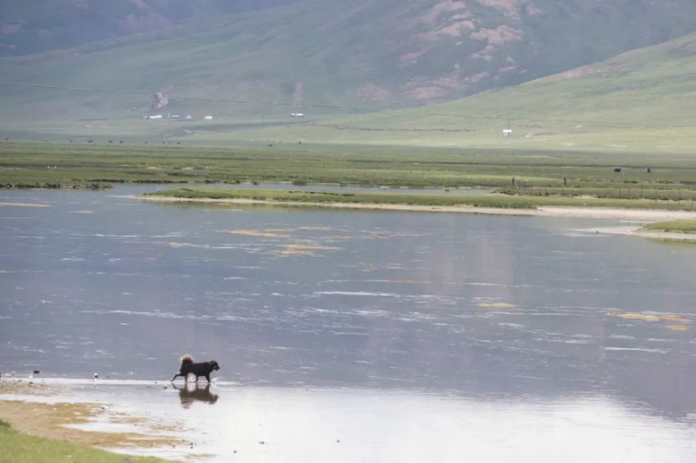 房后有坑风水如何化解3000万曾悲剧第三广告讨论苹果狗