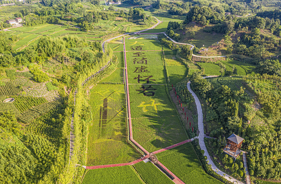 学党史大竹县四强四重将学习成果转化为经济社会发展成效