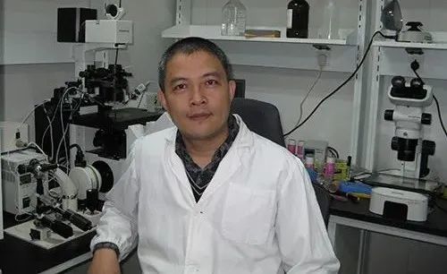 中科院院士李劲松:勇闯单倍体细胞系"无人区"