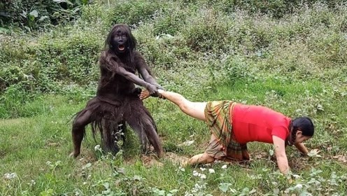 曾经很火的野人传说,如今为何没人关注