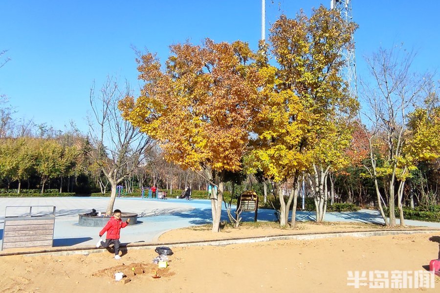 李滄區象耳山公園在陽光的渲染下,呈現出五彩斑斕的顏色,美不勝收.