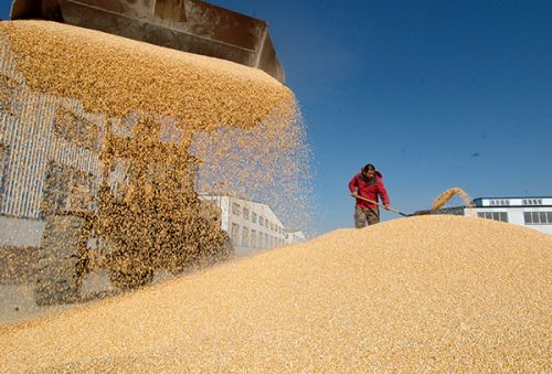 河南储备粮管理新办法明年施行,小麦储存年限不超过5年