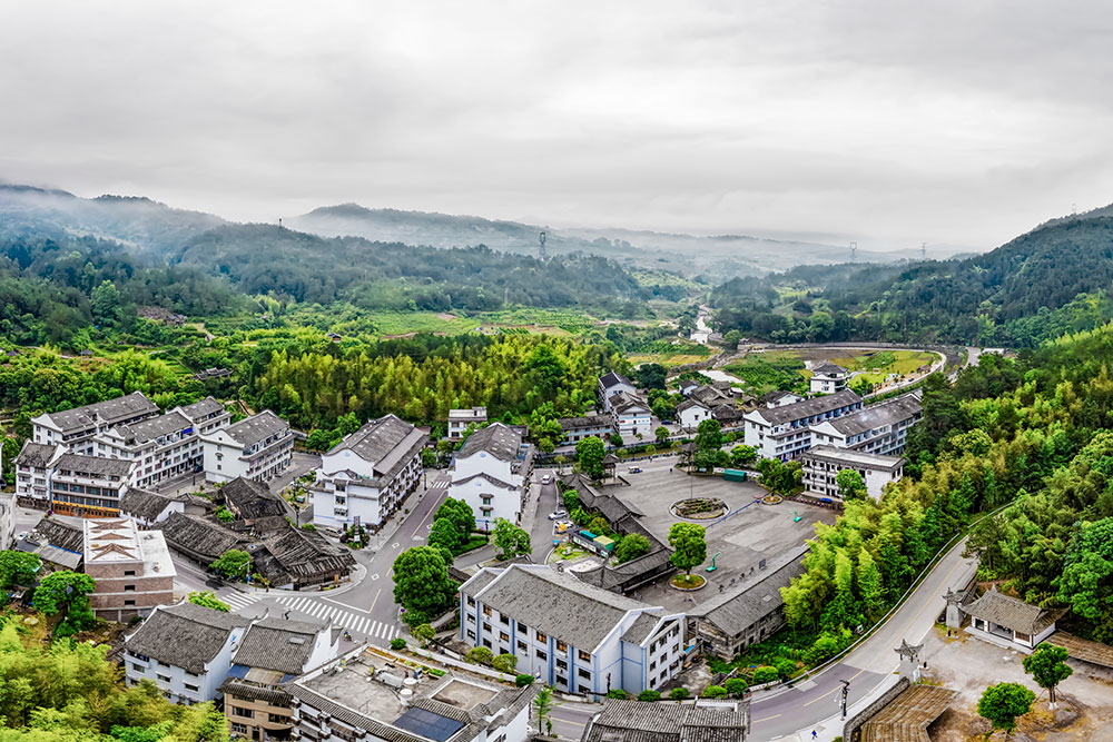 国学文化,竹文化三张特色文化金名片,走出了一条美丽乡村,振兴农村