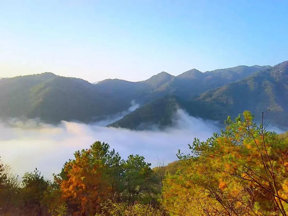 浙江台州桐柏山图片