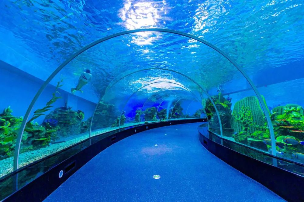 泉州欧乐堡海洋王国乐园落成典礼圆满完成