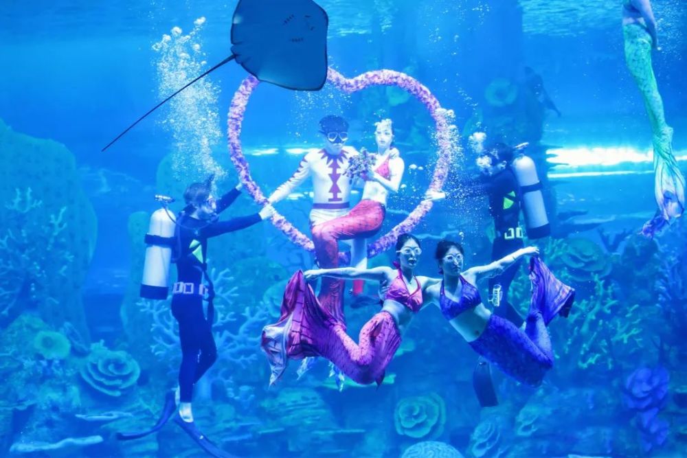 泉州欧乐堡海洋王国乐园落成典礼圆满完成