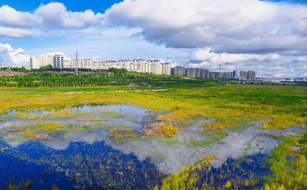 阴河城区段上世纪80年代的英金河锡泊河新区段(横屏观看最佳(横屏