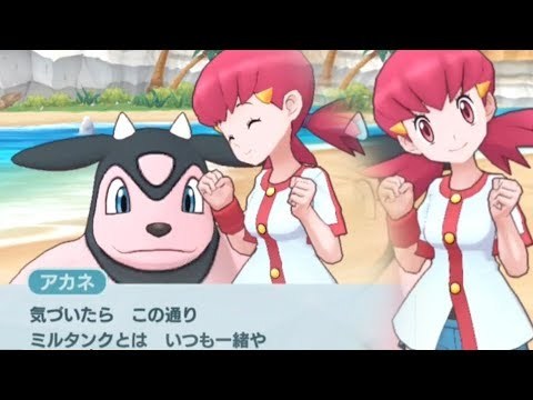 宝可梦人气道馆馆主top10评选最受喜爱的是谁