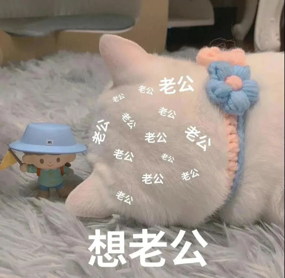 表情包你年纪大了我原谅你