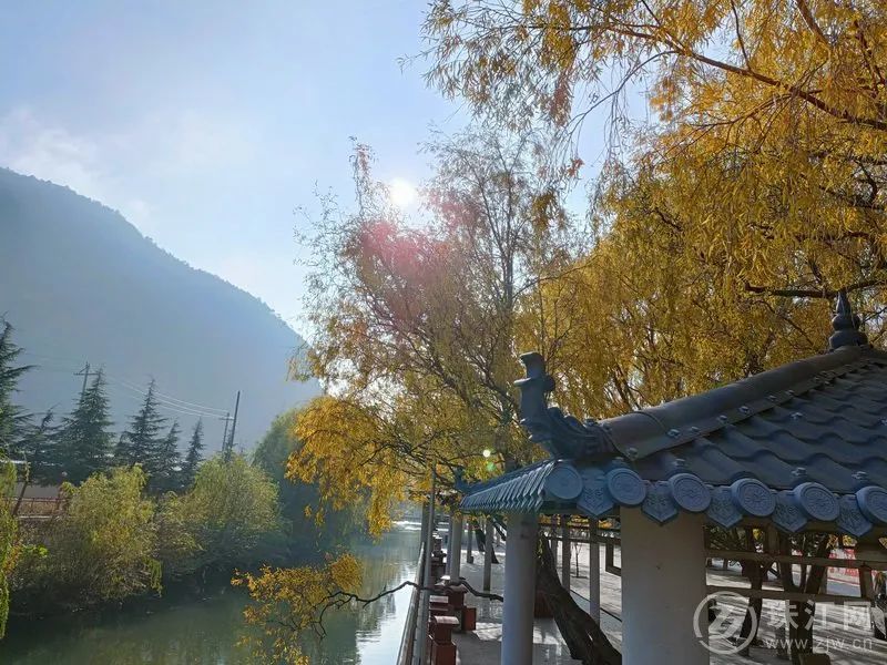 美丽曲靖以礼河初冬美景入画来