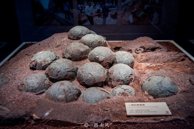 游广东河源实拍世界上最多恐龙蛋的博物馆恐龙灭绝之谜引猜想