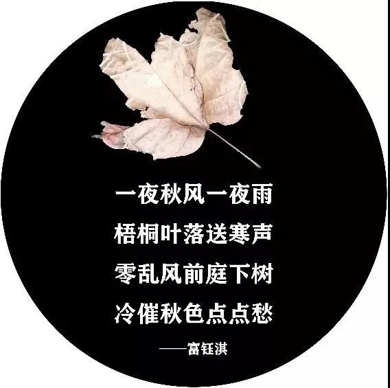 夜幕降临时,诗歌与落叶一起"飘落",温暖着都市夜归人,也诗意了整个