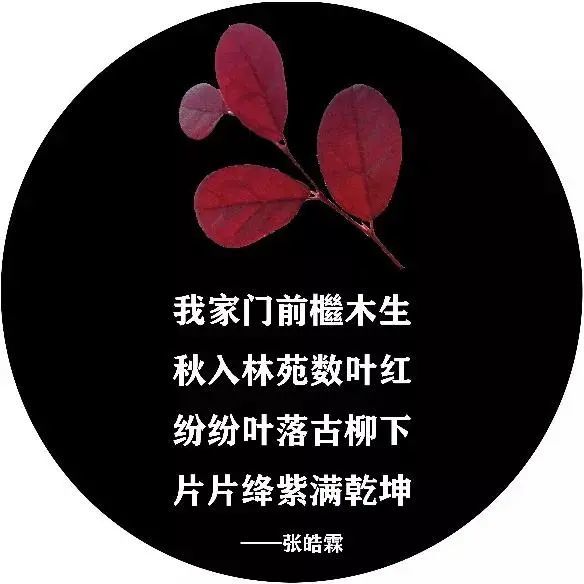 夜幕降临时,诗歌与落叶一起"飘落",温暖着都市夜归人,也诗意了整个