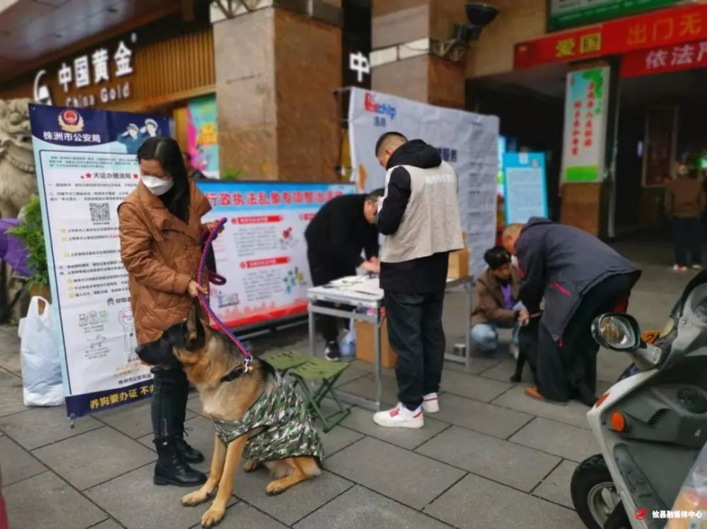 動物防疫法》和《株洲市城市養犬管理條例》規定,養犬不登記,遛狗不牽