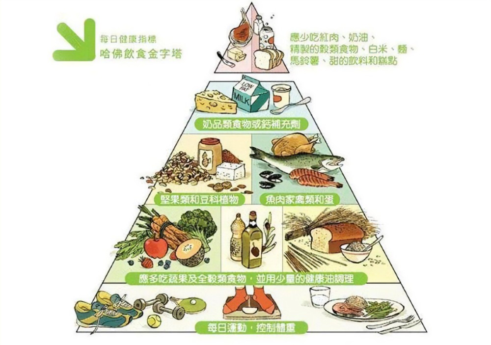 比如少吃薯片,薯条这样的油炸食物,保证每天的饮食结构都包含了四大类