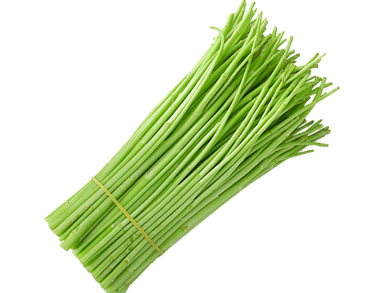 藜蒿酷似高富帅版的艾草河边常成片生长反季节10元1斤