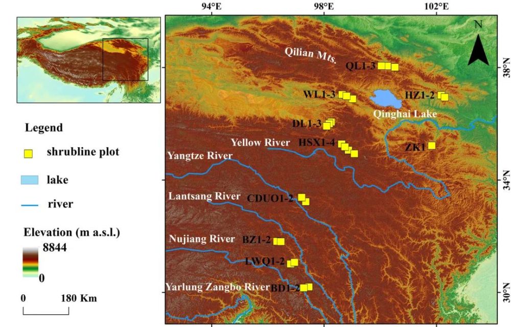 青藏高原山生柳灌木線樣地的空間分佈圖