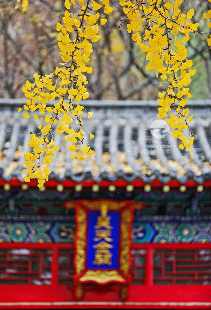 这一美足足美了1000年