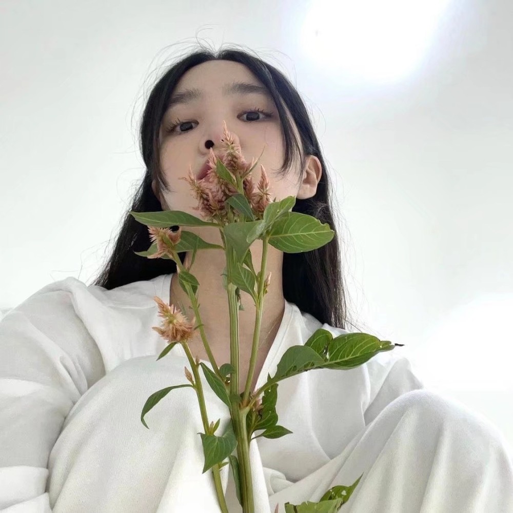 女生头像|试图追赶过你 但山鸟与鱼不同路