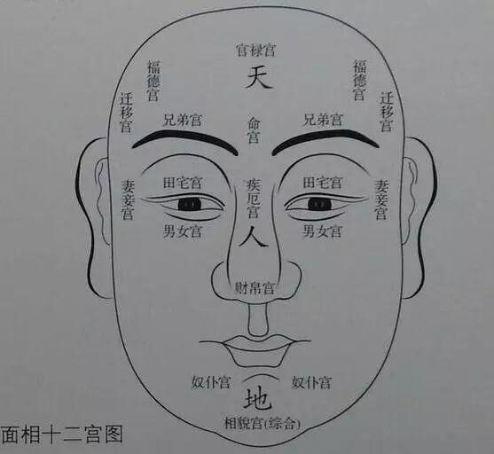 認為,面相不僅僅能夠反映一個人的內心和性格,也能預測一個人的命運