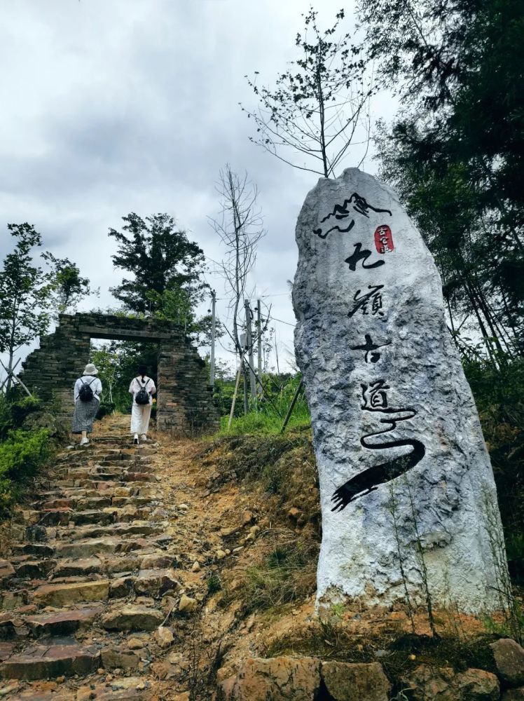 陈巧珠:九岭的刻度
