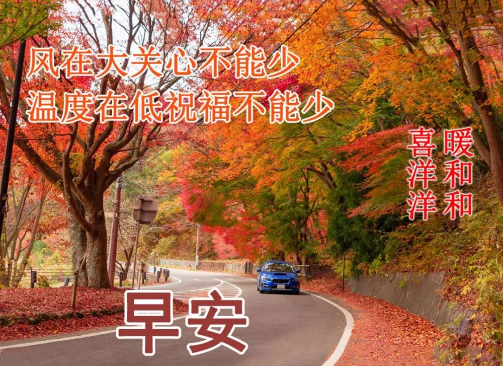 2021年11月24日清晨早上好问候祝福动态表情图片最新早安问候祝福图片