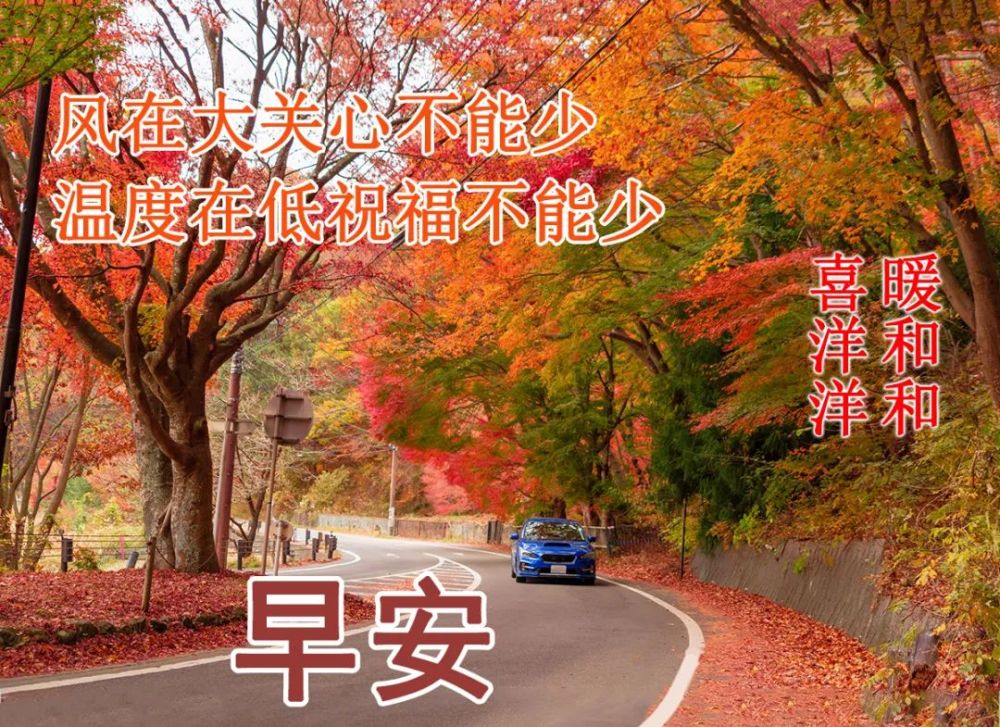 2021年11月24日清晨早上好問候祝福動態表情圖片最新早安問候祝福圖片