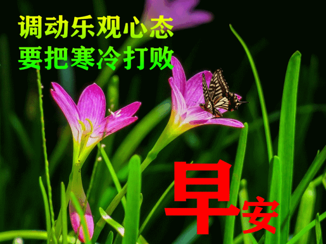 12月冬天最美的早安祝福图片,温暖人心的早上好祝福语图片句子|冬季