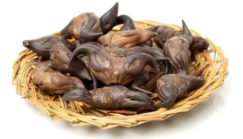 医生提醒:姜片虫感染有潜伏期,除了荸荠外,菱角,茭白等都是姜片虫的