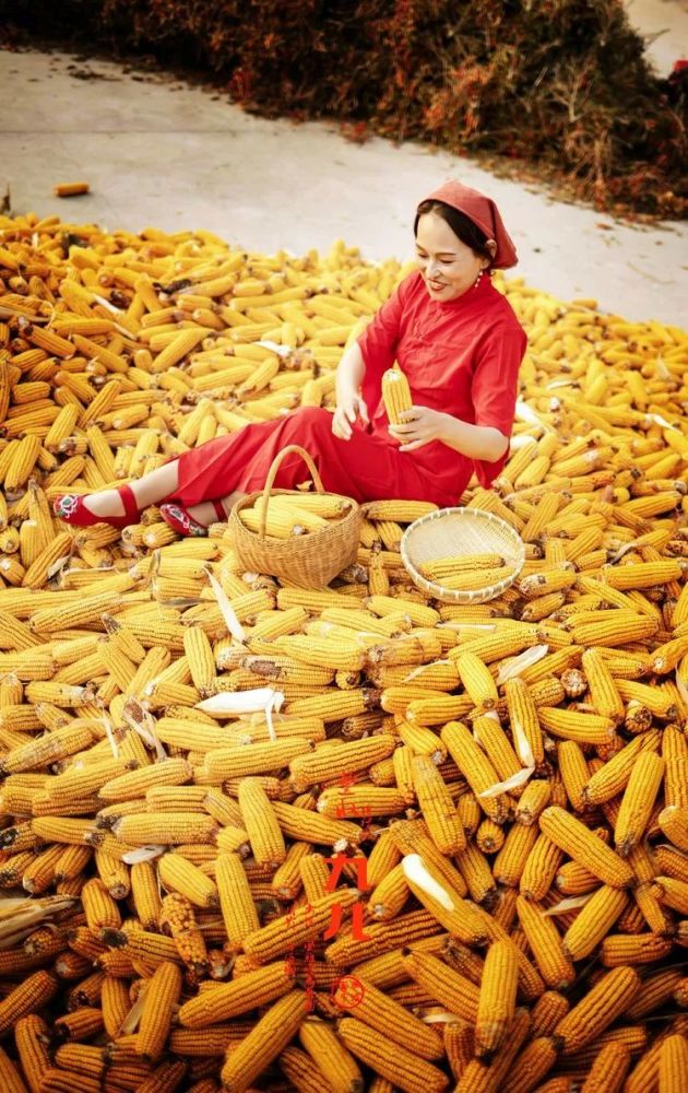 人像摄影丰收场里的九儿