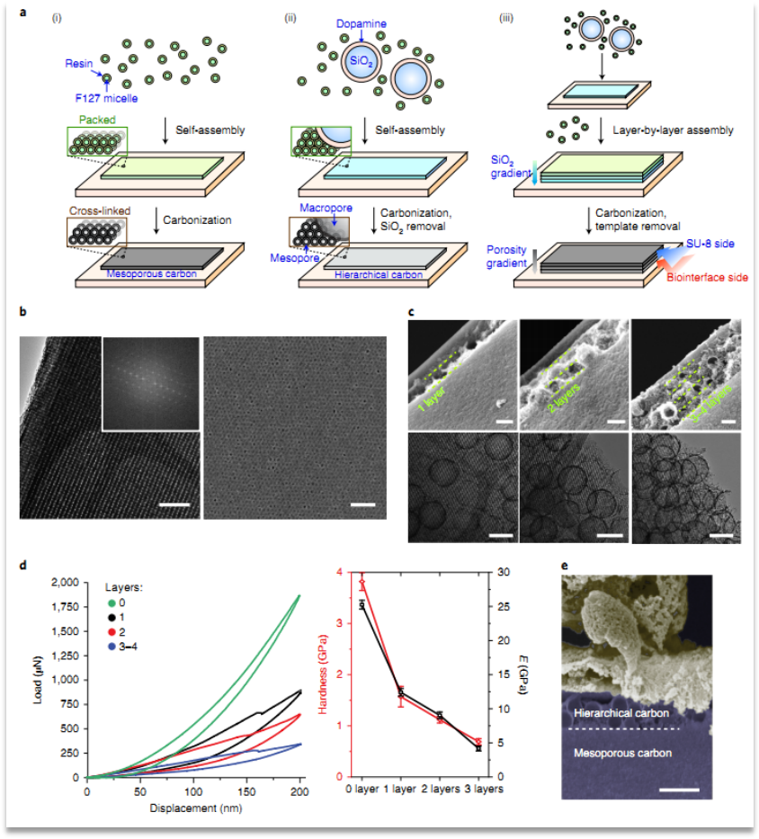 nat. nanotechnol.:胶束激活的多孔和单片碳膜自组装用于生物电子界面