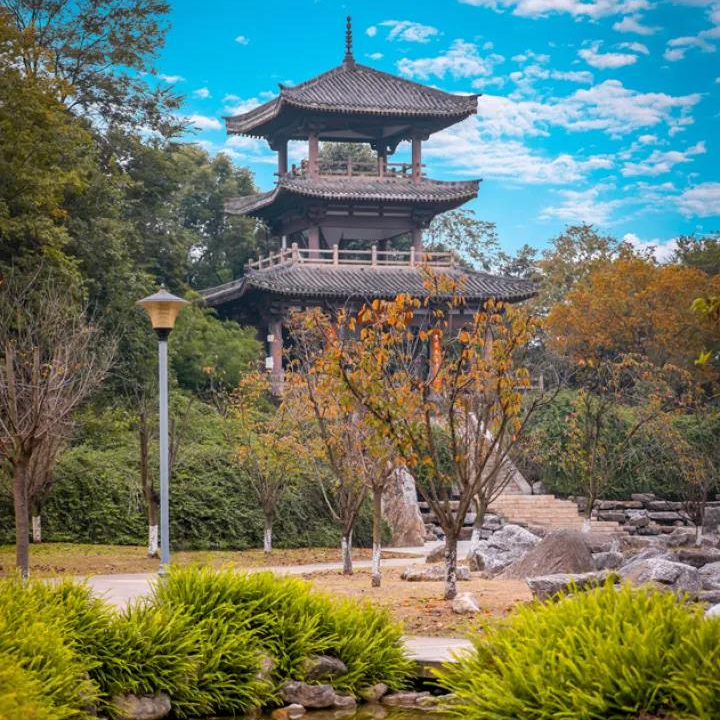 03 / 青白江鳳凰湖旅遊景區journey伸個懶腰,打個呵欠都是幸福的味道