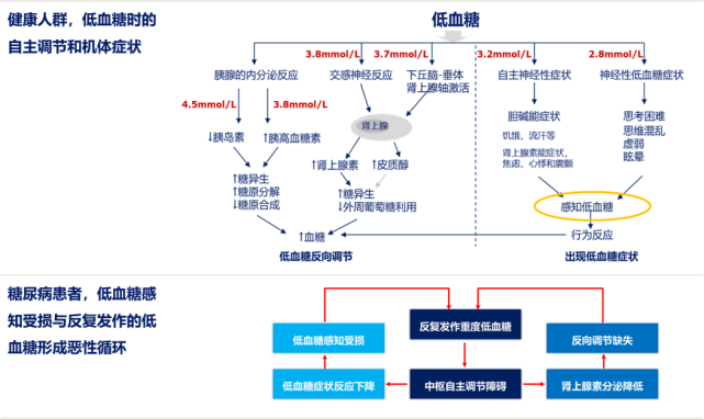 首部《成人1型糖尿病管理专家共识》发布!