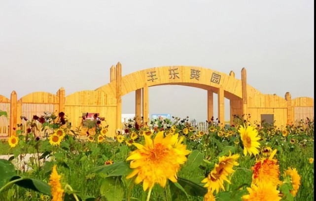 这里是一个集休闲,娱乐,度假为一体的都市乐园.1:丰乐葵园