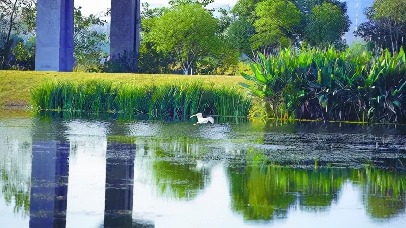 南京市建成都市型生态安全缓冲区_腾讯新闻