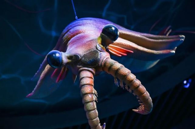 第一代地球霸主奇虾及寒武纪典型生物简介