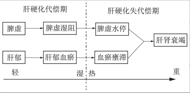 因此,针对肝硬化失代偿期的治疗,一个是要去除病因,一个是要保肝抗炎